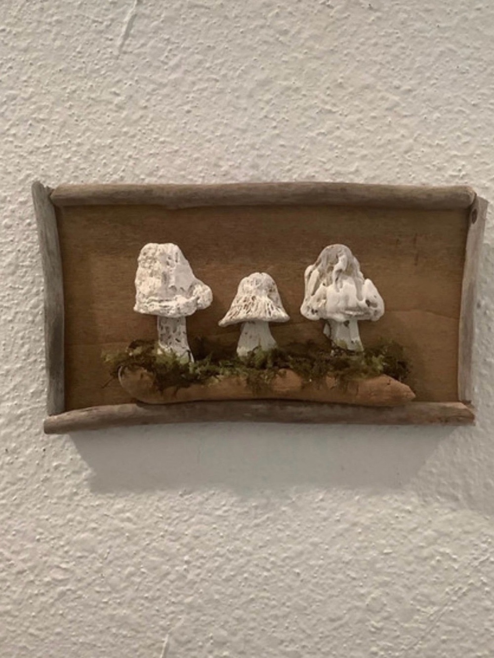 Driftwood Art, Seashell Mushrooms , Mushroom Art, Coastal Art